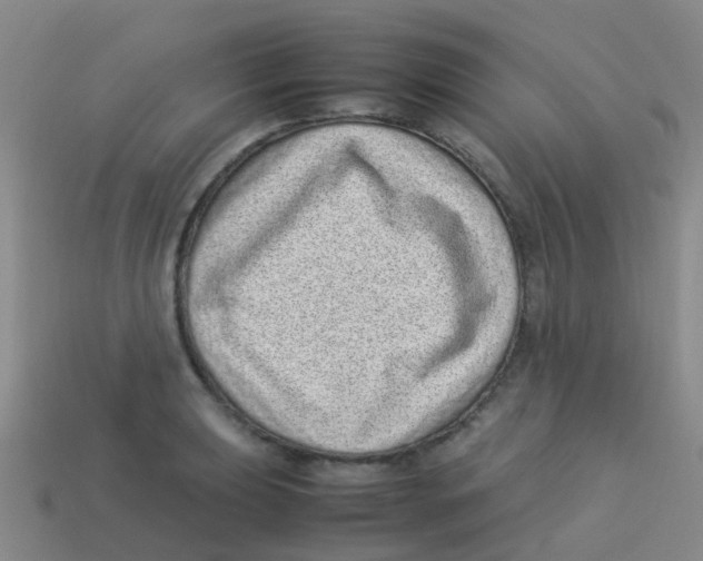 X0000113541039200910161408