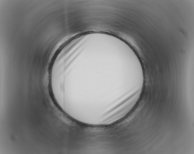 X0000113541040200910161408