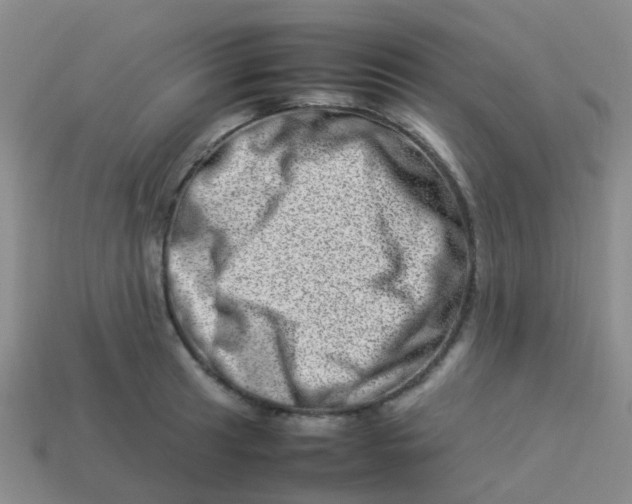 X0000113541041200910161408
