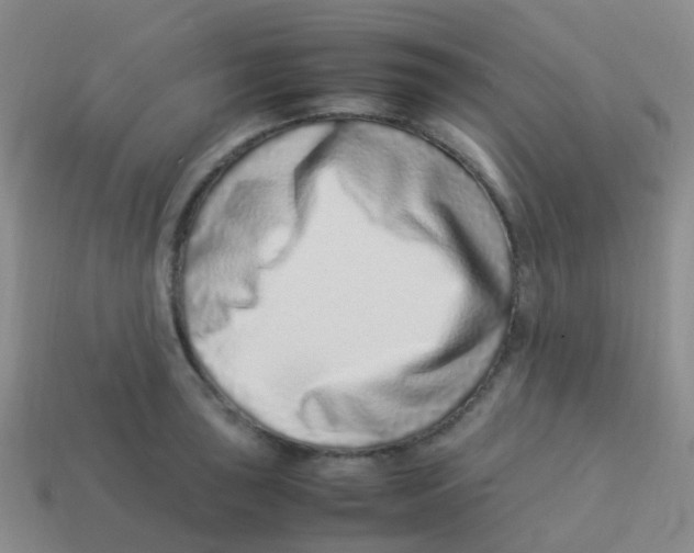 X0000113541043200910161408