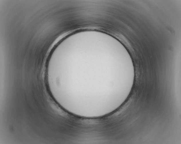 X0000113541044200910161408