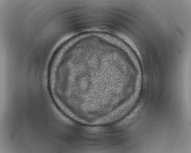 X0000113541045200910161408