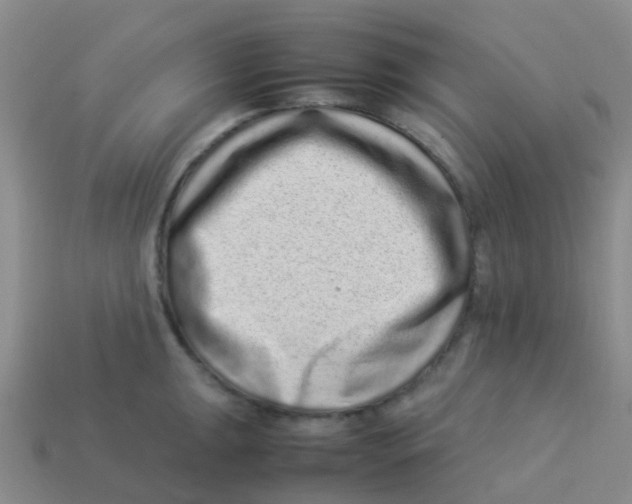 X0000113541047200910161408