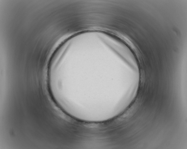 X0000113541048200910161408