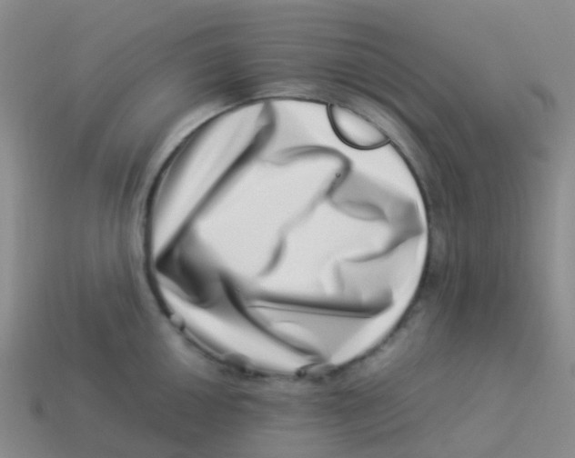 X0000113541050200910161408