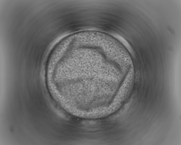 X0000113541051200910161408