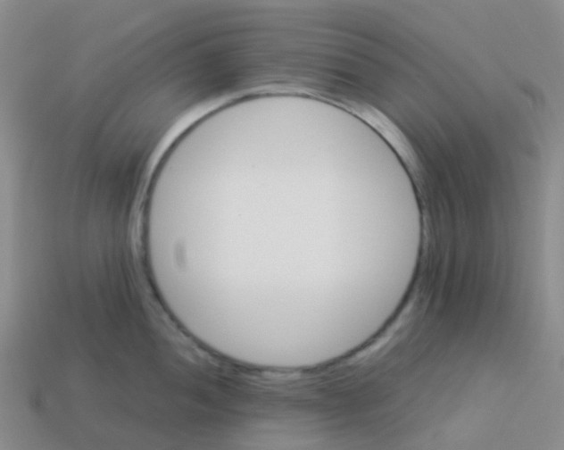 X0000113541052200910161408