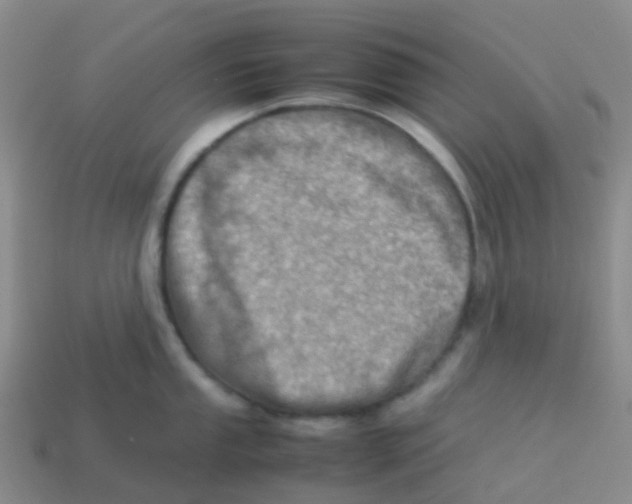 X0000113541053200910161408