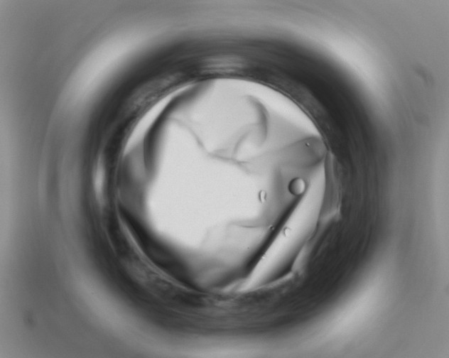 X0000113541054200910161408