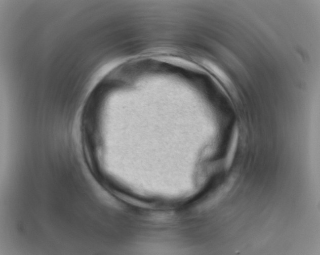 X0000113541055200910161408