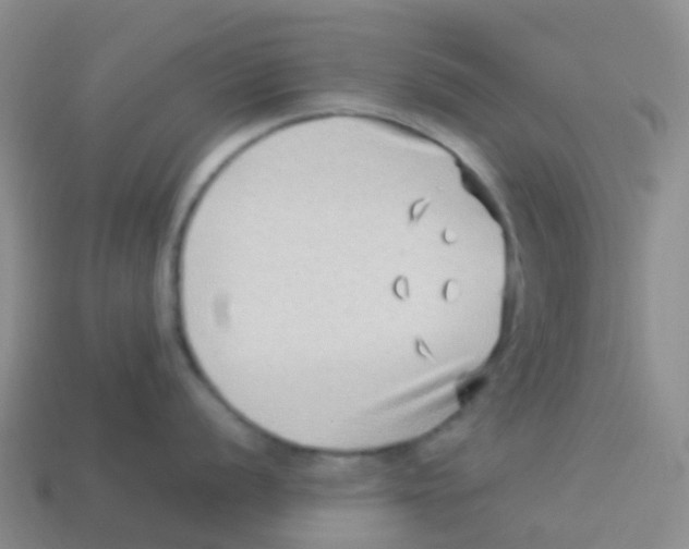 X0000113541056200910161408