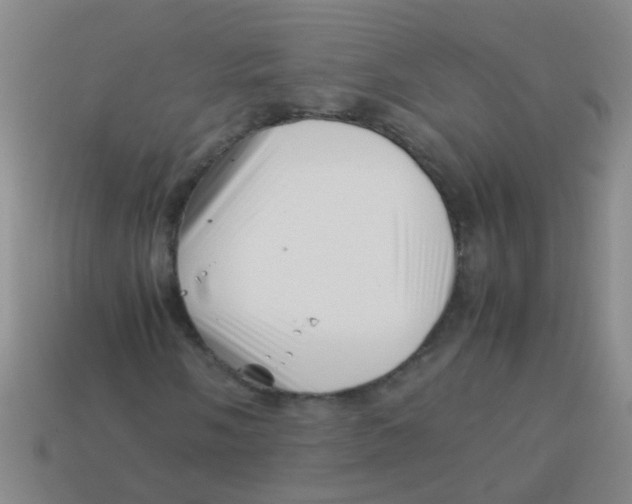X0000113541058200910161407