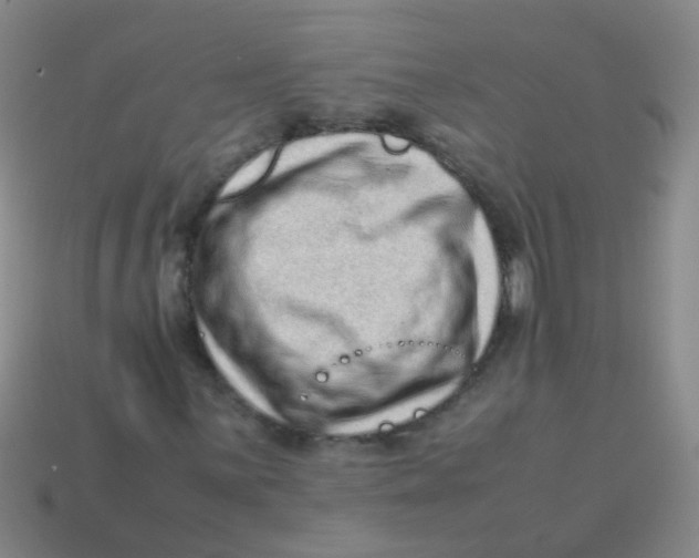 X0000113541059200910161407