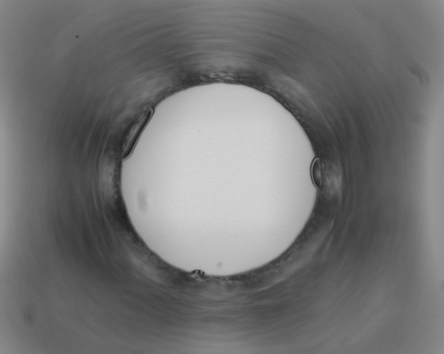 X0000113541060200910161407