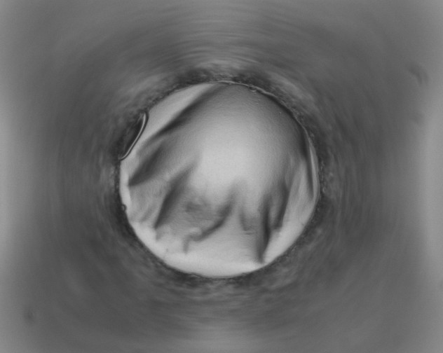 X0000113541061200910161407
