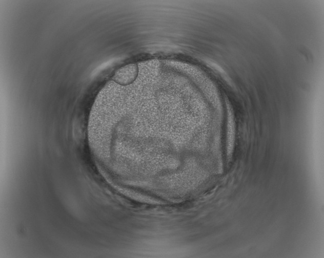 X0000113541063200910161407