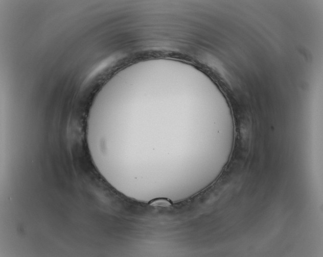 X0000113541064200910161407