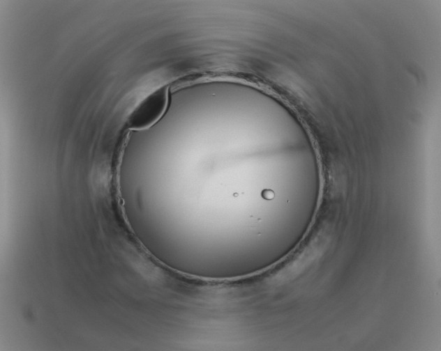 X0000113541065200910161407
