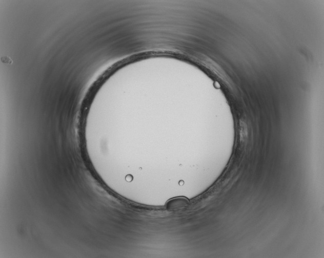 X0000113541068200910161407
