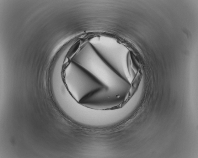 X0000113541069200910161407