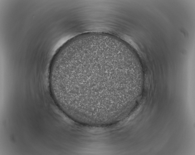 X0000113541071200910161407