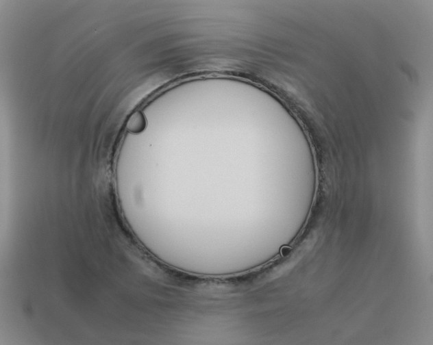 X0000113541073200910161407