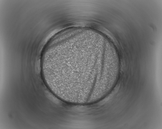 X0000113541075200910161407