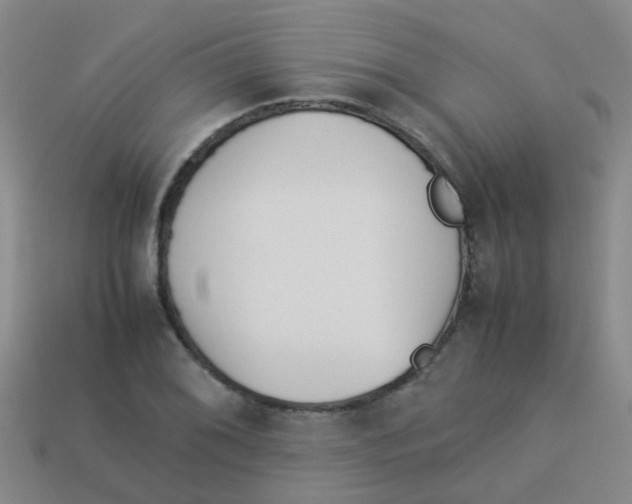 X0000113541076200910161407