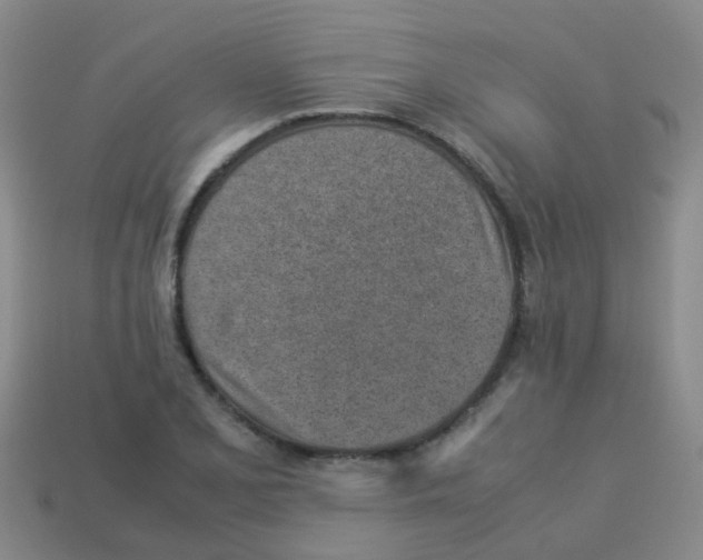 X0000113541077200910161407