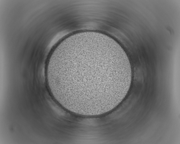 X0000113541078200910161407