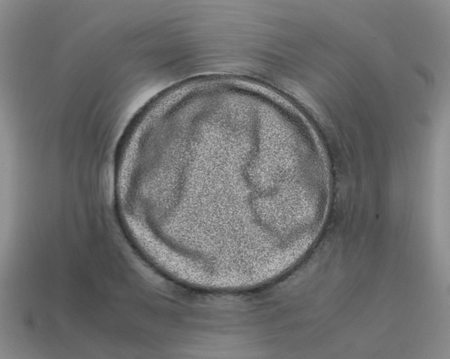 X0000113541079200910161407