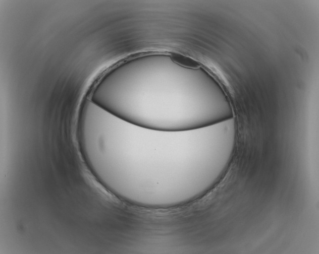 X0000113541080200910161407