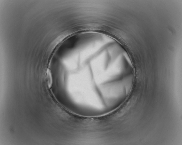 X0000113541081200910161407