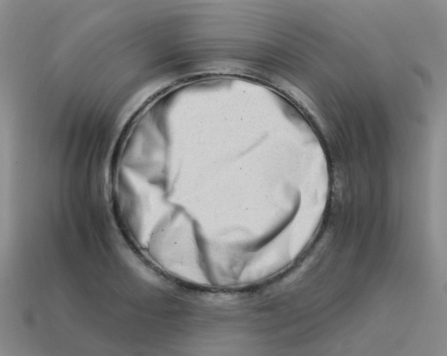 X0000113541082200910161407
