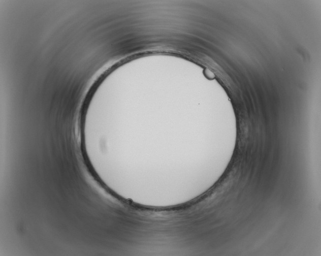 X0000113541084200910161407