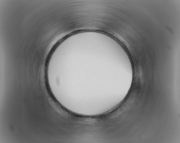 X0000113541085200910161407