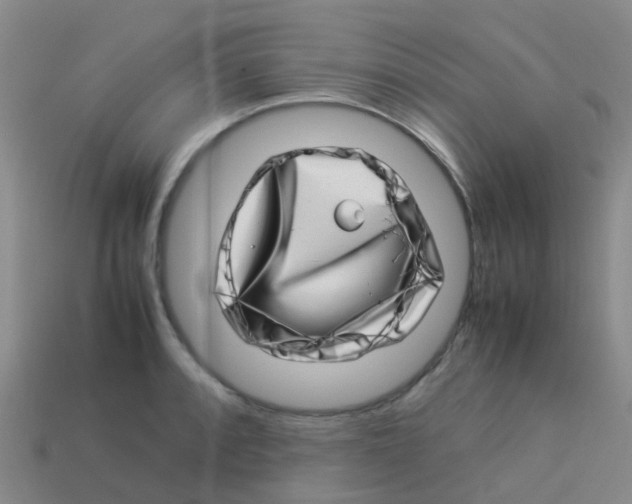 X0000113541088200910161407