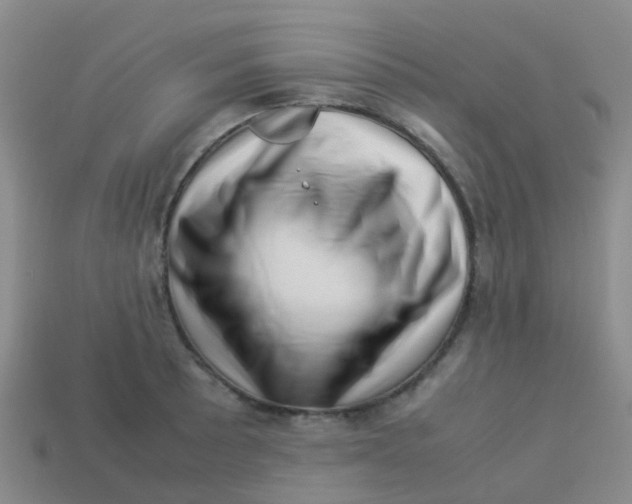X0000113541089200910161407