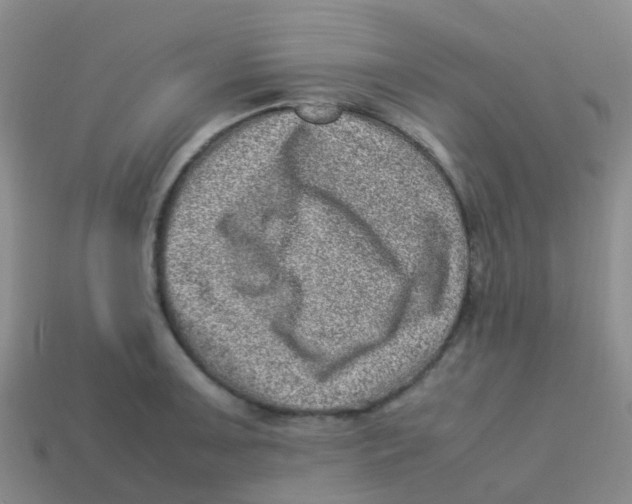 X0000113541091200910161407