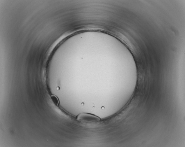 X0000113541092200910161407