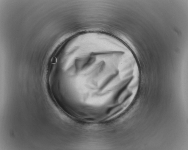 X0000113541093200910161407