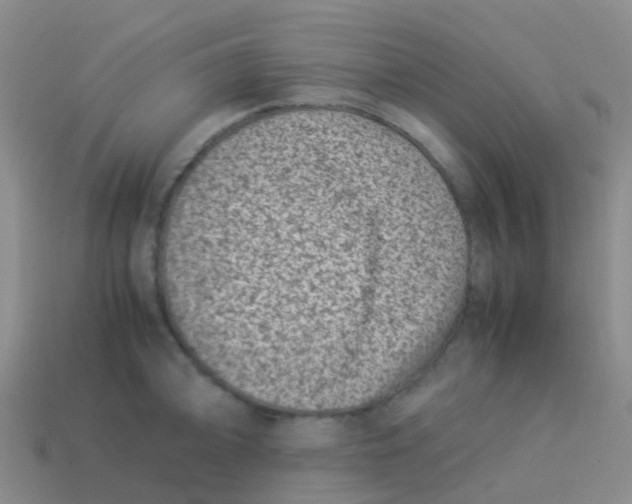 X0000113541094200910161407