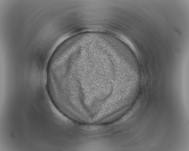 X0000113541095200910161407