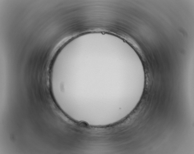 X0000113541096200910161407