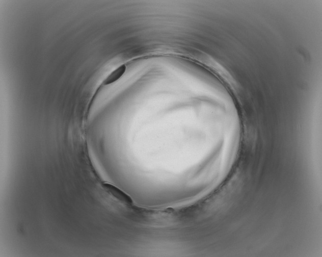 X0000113541097200910161407