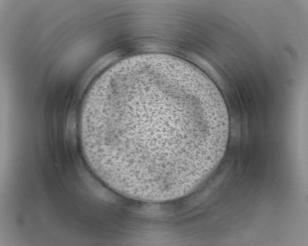 X0000113541098200910161407