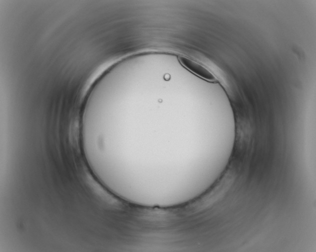 X0000113541100200910161407