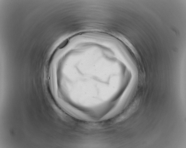 X0000113541101200910161407