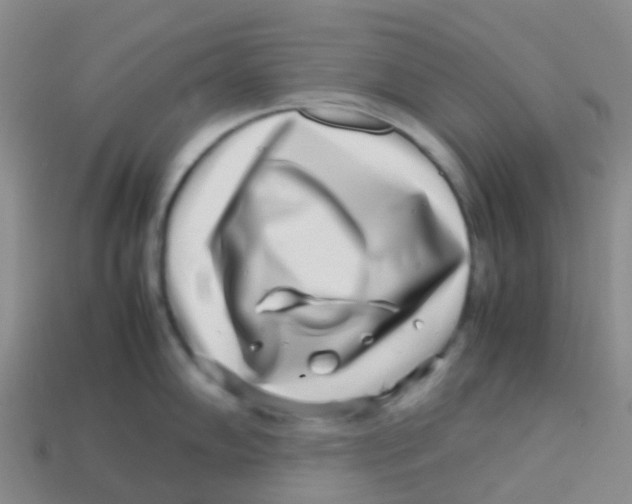 X0000113541102200910161407