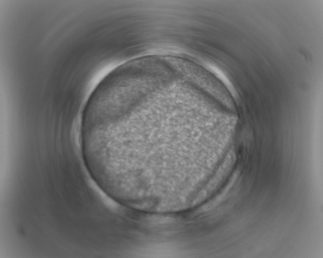 X0000113541103200910161407